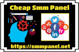 One Must Choose Social Media Panel Reseller For Sure