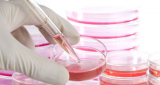 From Research to Reality: Bringing Artificial Tissues to Market