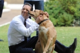 Venom Star Tom Hardy Voted World’s Hottest Dog Lover 2019