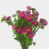 How to Make Every Occasion More Special by Buying Bulk Flowers