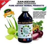 Sanjeevini Herbal Enterprise Brings the best Remedy for Hair Loss