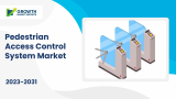 Market Renaissance: Pedestrian Access Control System Market Strategic Resurgence