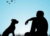 Pet Friendly Drug Rehabs Is Top Rated By Experts