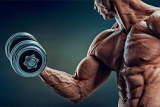 Best Legal Steroid Supplements is Wonderful From Many Perspectives