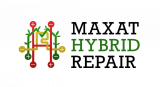 The Impact of Government Policies on Hybrid Vehicle Adoption