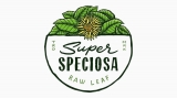 How To Make Best Possible Use Of Kratom Brands?