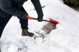 Plow Wow Sets the Standard for Reliable, Professional Snow Removal in Langley and the Fraser Valley