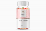 Check Out All Possible Details About CBD