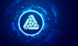 The price of the cryptocurrency “The Transfer Token” in the last 24 hours has reached an explosive growth of 27％.