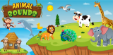 Animal Sound for kids learning