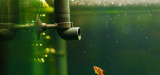 Aquarium Hydrometers Market is Expected to Valuation US$ 2.2 Bn by 2032 | FMI