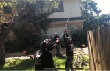 Austin Tree Service: Front Yard, Roofing, And More