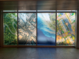 How Window Graphics Boost Branding in Richmond