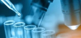Biomaterials Market Size And Forecast