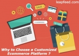 Why to Choose a Customized Ecommerce Platform
