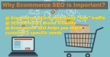 Why Ecommerce SEO is Important?