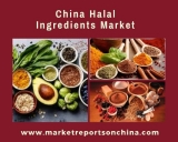 China Halal Ingredients Market Research Report 2013-2023