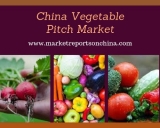 China Vegetable Pitch Market Research Report 2013-2023