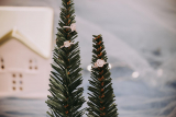 Jewelry Gifts You Can Choose for the Special Lady in Your Life This Christmas