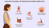 Chronic Fatigue Syndrome Market Size, Share, Opportunities, Development Status, Business Growth and Regional Forecast To 2026