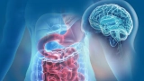 Hospitals and Clinics Remain Key Distribution Channels for Constipation Treatment Products