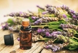Essential Oils Market Industry Analysis, Segment and Forecast Up to 2026 | Know How Essential Oils Market Leading By Industry