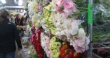 People Involved In The Flower Trade Can Be Benefited through Procurement From Wholesalers