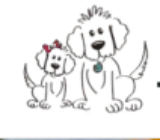 Find Your Ideal Mini Goldendoodle for Sale at Goldendoodles by Aggie