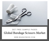 Global Bandage Scissors Market Size study, by Type and Regional Forecasts till 2024