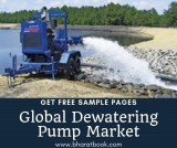 Global Dewatering Pump Market Size Study, by Type and Regional Forecasts till 2024