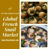 Global French Snail Market Size study, by Product Scope, by Application and Regional Forecasts till 2024
