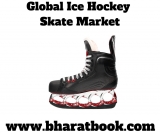 Global Ice Hockey Skate Market Professional Survey 2019-2024