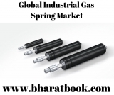 Global Industrial Gas Spring Market Size study, by Product, by Application and Regional Forecasts 2019-2024