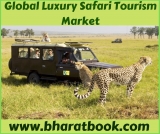 Global Luxury Safari Tourism Market Size study, by Type and Regional Forecasts till 2024