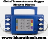 Global Transcutaneous Oxygen Monitor Market Professional Survey 2019-2024