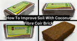 How To Improve Soil With Coconut Fibre Coir Brick