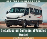 Global Medium Commercial Vehicles Market Professional Survey 2019 by Manufacturers, Regions, Countries, Types and Applications, Forecast to 2024