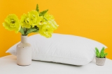 Memory Foam Pillows and its Amazing Benefits