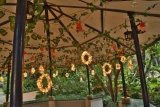 Outdoor Lighting Decorations Bangalore: The Easiest And Fastest Solution To Get Customized Lighting For Events