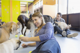 Expected Valuation of the Pet Daycare Market in 2032 is Nearly US$ 6.7 Billion