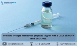 Global Prefilled Syringes Market Market, Size, Forecast 2023-2029