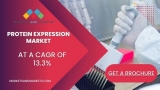 Research Report Explores Protein Expression Market In The World To 2027