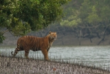 20 Best Tourist Attractions to Visit in Bangladesh