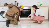 The Most Convenient Way to Get Rid of Termite from Your Home: Pest Control Services in Melbourne