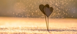 Colorado Marriage Retreats Helps Couples with Marriage Problems in Beautiful Colorado Mountains