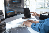 Partnering with a Local SEO Agency in New Zealand for Your Digital Marketing Needs