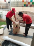Why Hiring Local Movers in Newcastle Saves Your Time, Money & Effort?