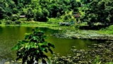 Why Champadevi Day Hike Should Be on Your Nepal Itinerary
