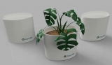 Chlorofill : Codelattice launches ‘tech-pots’ for urban gardens on world environment day