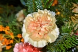 Why Deal With Wholesalers To Buy Flowers In Bulk?